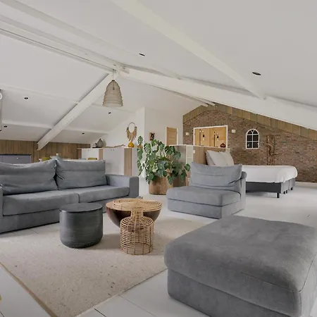 Διαμέρισμα Loft In The Polder - Rietkraag